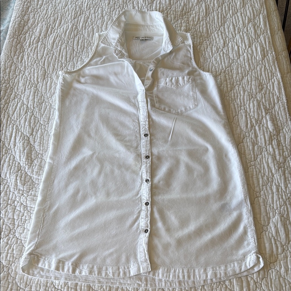 Abercrombie & Fitch linen collared button up dress